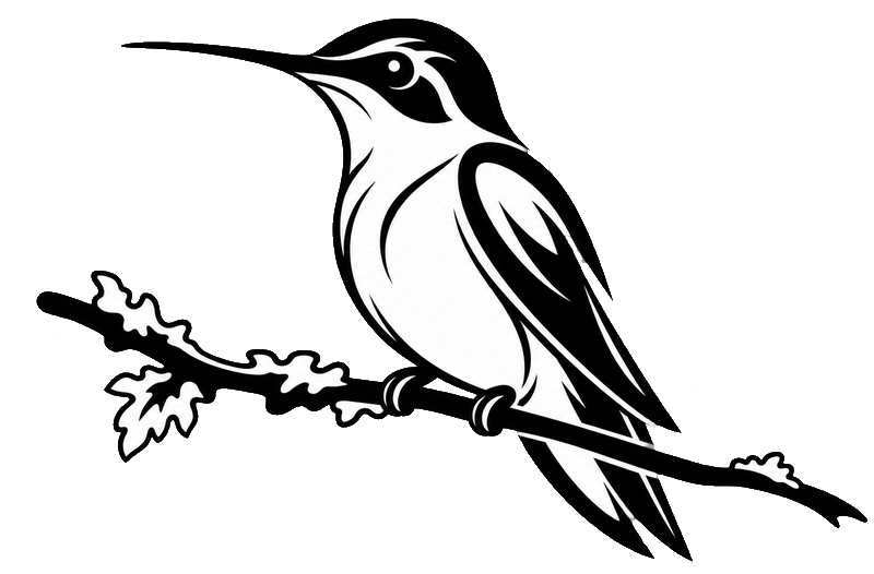 Look At These Birds