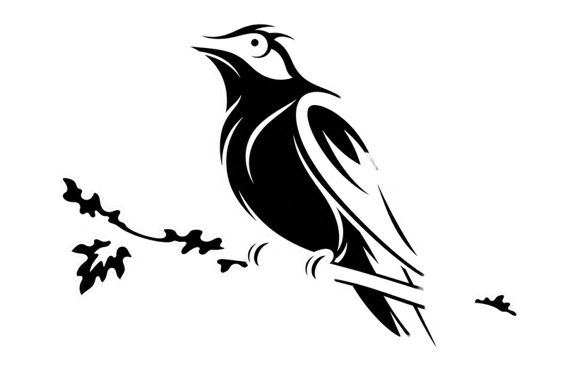 Look At These Birds